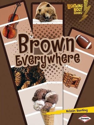 cover image of Brown Everywhere